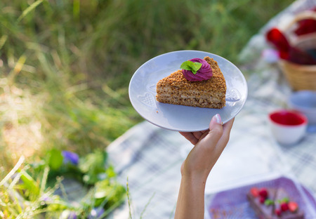 Cake on a plate at the summer picnicの写真素材
