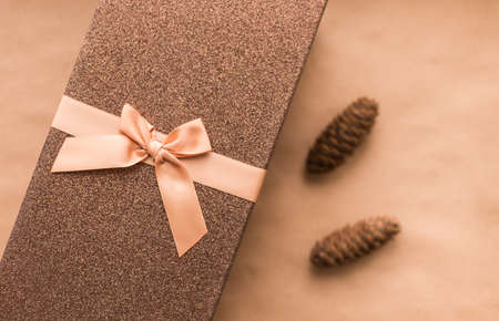 Christmas gift box wrapped for holidayの写真素材