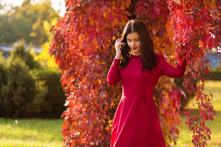 Beautiful woman walking alone in the autumn parkの写真素材