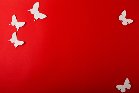 White butterflies on a red background. Copy spaceの写真素材