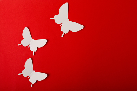 White butterflies on a red background. Copy spaceの写真素材