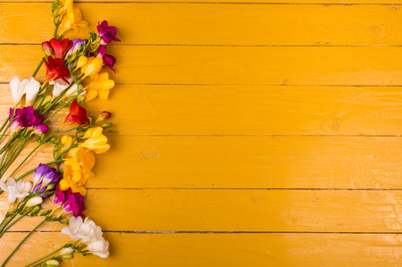 Bouquet of freesia flowers on a blue wooden backgroundの写真素材
