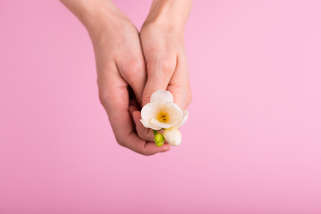 Woman holding flowers top view with a copyspaceの写真素材