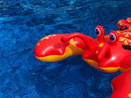 Summer pool party in a clear water swimming poolの写真素材
