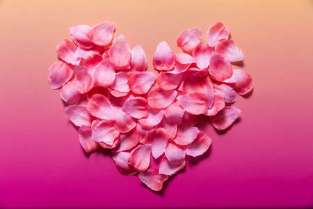 Flower heart background. Pink ombre backgroundの写真素材