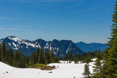 Beautiful panorama of Cascade range with volcanos as seen from Mt. Rainierの写真素材