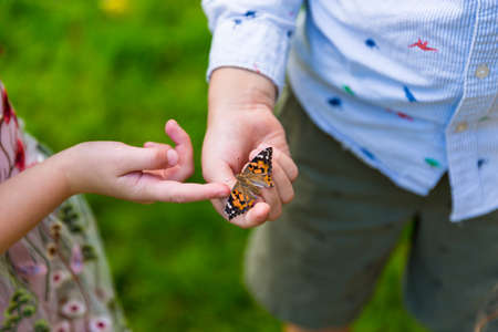 Two friends playing with a butterfly in the gardenの写真素材