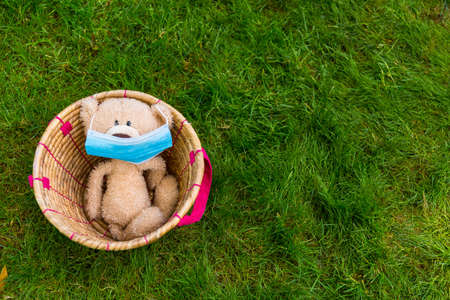 Cute teddy bear in the basket with a face maskの写真素材