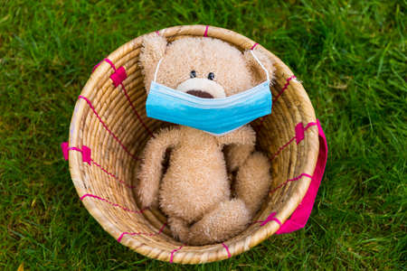 Cute teddy bear in the basket with a face maskの写真素材