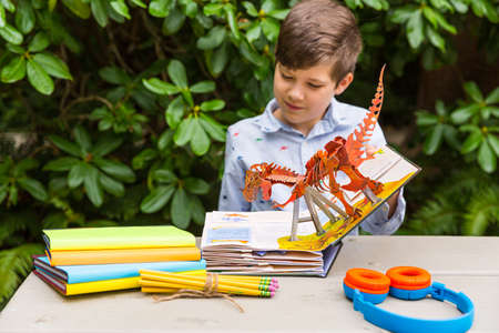 Young boy reading a book about dinosaurs in the parkの写真素材