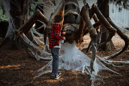 Spooky spider monster in the forest, Halloween celebration conceptの写真素材