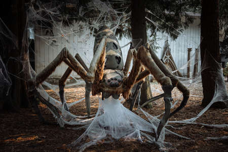 Spooky spider monster in the forest, Halloween celebration conceptの写真素材