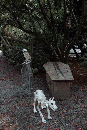 Spooky giant skeleton decoration during Halloween celebrationの写真素材