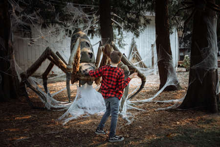 Spooky spider monster in the forest, Halloween celebration conceptの写真素材