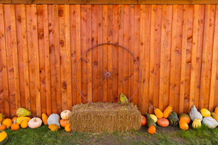 Fall harvest background on a family farmの写真素材