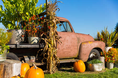 Fall harvest background on a family farmの写真素材
