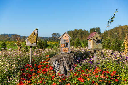Fall harvest background on a family farmの写真素材