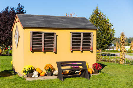 Fall harvest background on a family farmの写真素材