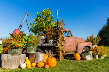 Fall harvest background on a family farmの写真素材