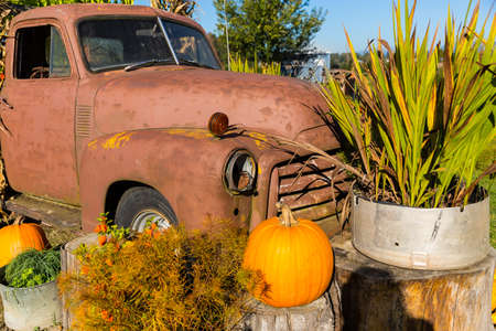 Fall harvest background on a family farmの写真素材
