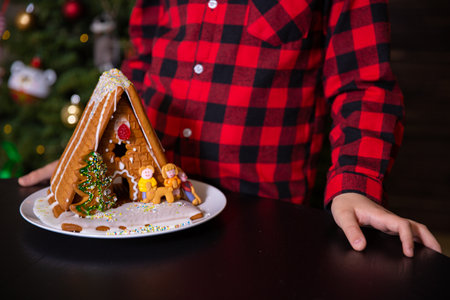 A boy decorating Christmas gingerbread house  at homeの写真素材