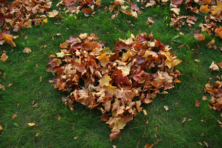Autumn fallen leaves on the grass in the shape of a heart