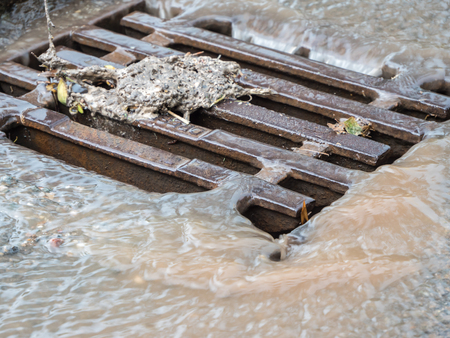 running Gulli in heavy rainの写真素材