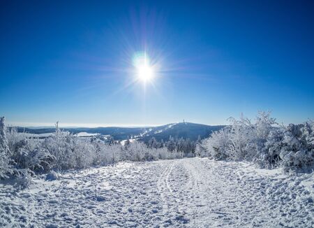 Landscape in winter