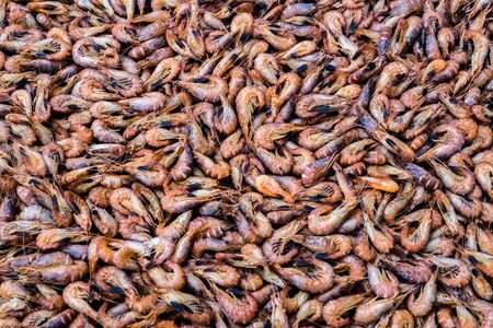 North Sea crab texture