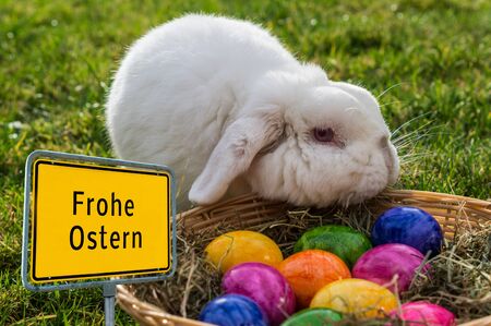 Happy Easter Easter Bunny Place-name sign