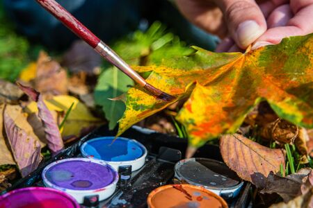 Handicraft in the fallの写真素材