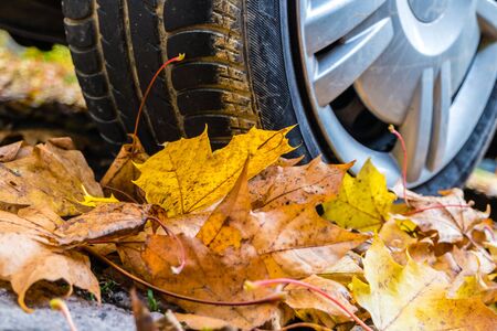 Danger in the autumn on the street