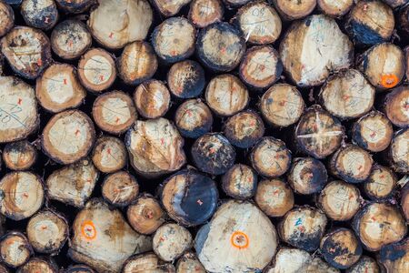 tree trunks Firewoodの写真素材