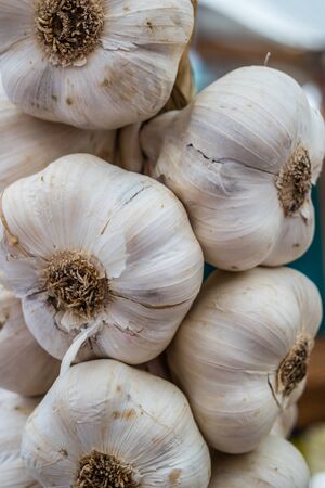 fresh garlic on the marketの写真素材