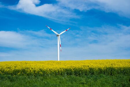 Wind Turbine  in rapeseed fieldの写真素材