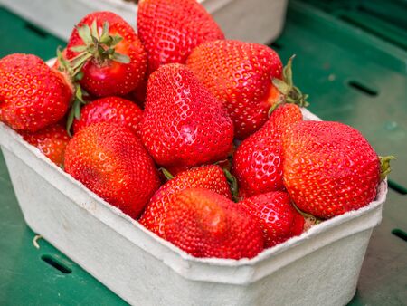 Strawberries in basketの写真素材