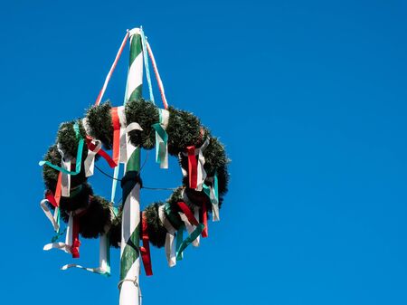 May tree in springの写真素材