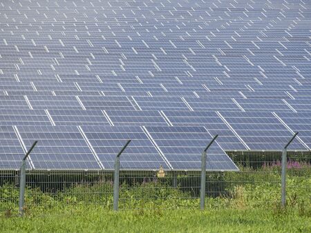 Solar Panel Farm