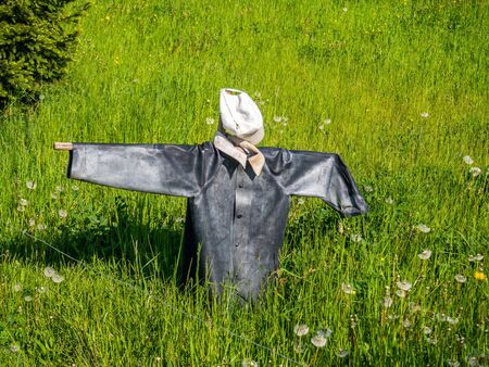 scarecrow standing in a meadowの写真素材