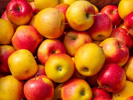 Fresh apples on a market for saleの写真素材