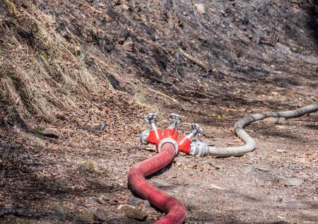 Fire hose forest fire in Germany