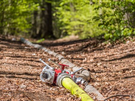 Fire hose in the forest during a forest fire