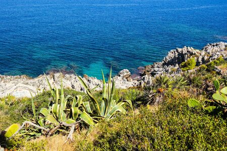 Ippocampo Mongerbino Sicilyの写真素材