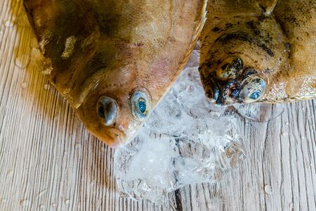 Fresh plaice Fish from the market