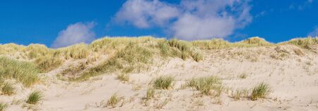 Dune landscape at the North Sea coastの写真素材