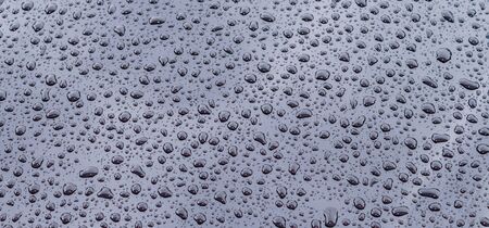 Panorama Black Water drop Texture