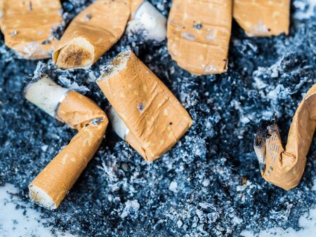 Cigarette butts in ashtrayの写真素材