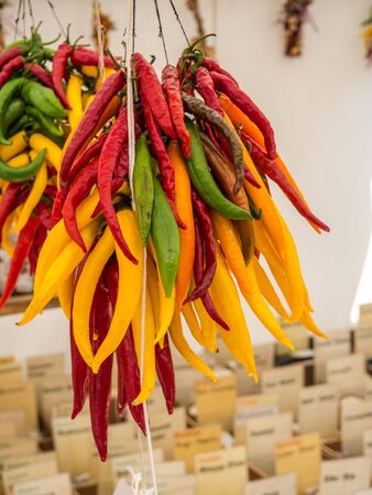 fresh chillies on the marketの写真素材
