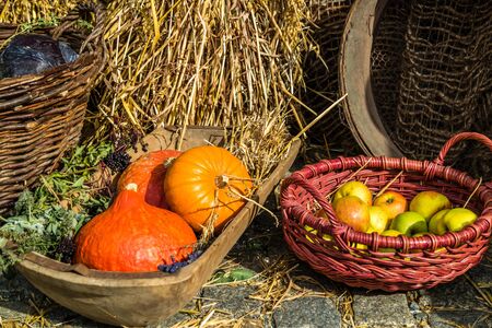 colorful autumnal pumpkin basket background