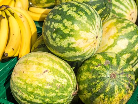 Watermelon on the marketの写真素材